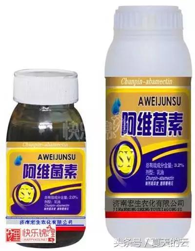 那些你不知道的副业,那些你不知道的观赏鱼