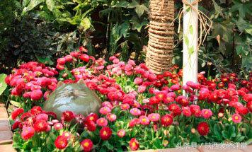 200平庭院花园轻奢,280平花园法式