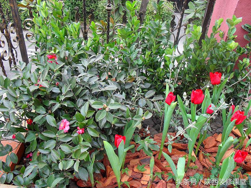 200平庭院花园轻奢,280平花园法式