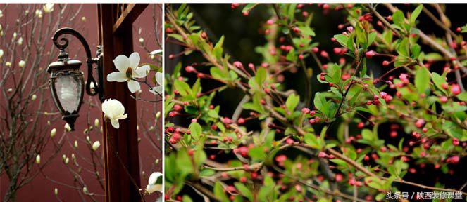 200平庭院花园轻奢,280平花园法式