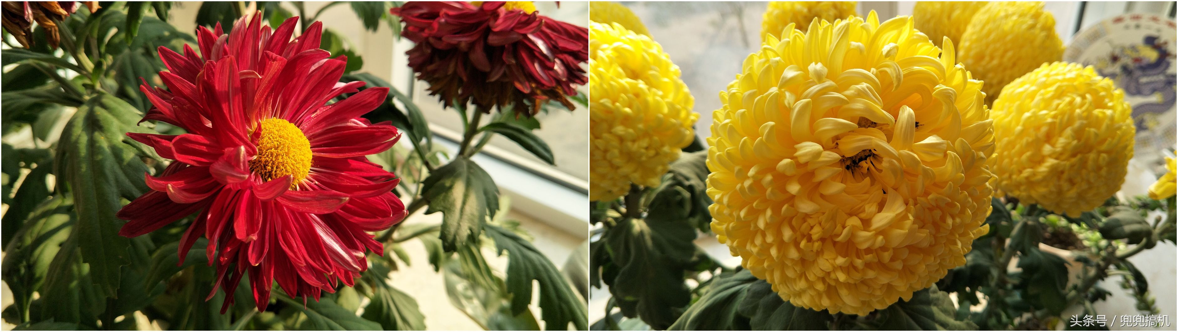 oppor9s怎么升级8.0,oppor9s深度测评