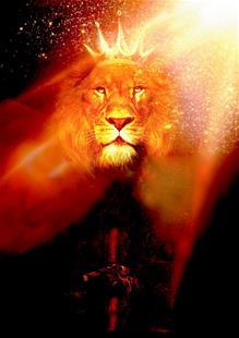 苏宁崔龙洙亚冠,崔龙洙江苏苏宁夺冠