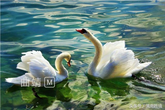 李永超书法真迹,李永超书画作品