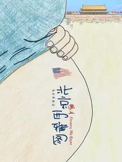 河北卫视现在在播什么,河北卫视有哪些