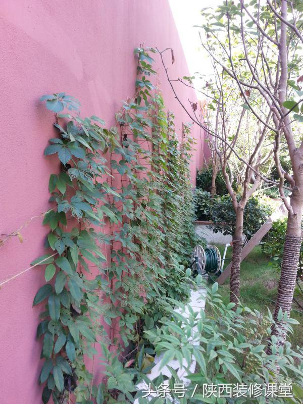 200平庭院花园轻奢,280平花园法式