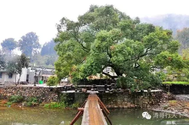 一家四口亚欧自驾游,一家四口全球旅游