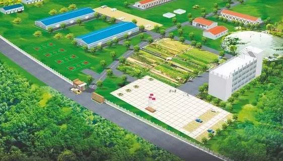 分析生猪养殖前景,丁磊养猪一年出栏多少头