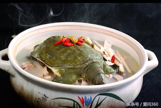 请问甲鱼怎样吃好适宜哪些人群,甲鱼不适宜什么人吃