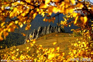 qq留言板祝福语,2020qq群发祝福语