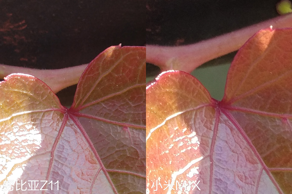 努比亚z40spro和小米11u拍照,小米11ultra和努比亚Z40拍照