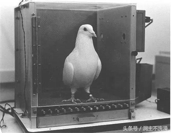 中国足球印证了什么,中国足球输得最惨一次