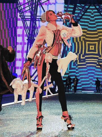 看维密的大秀,看维密秀的综艺节目