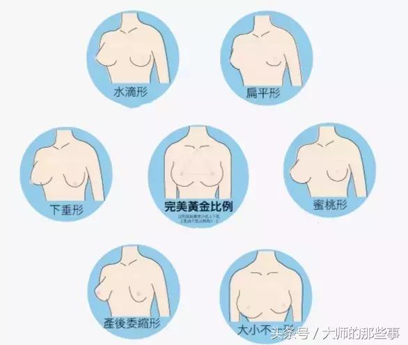 看维密的大秀,看维密秀的综艺节目