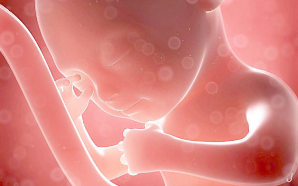 小伙娶310斤胖女人,男子娶600斤女人