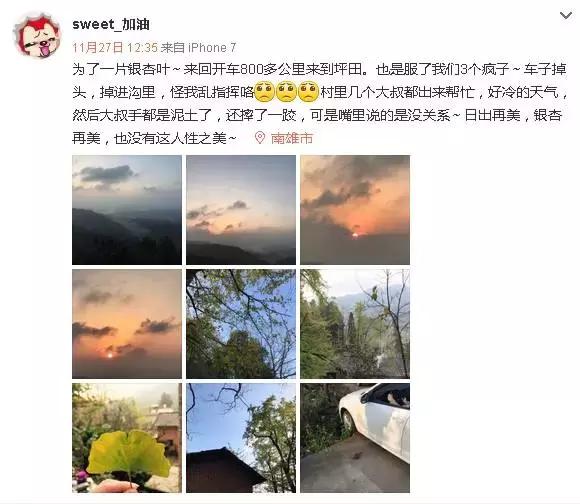 南雄看银杏值得去吗,南雄看银杏攻略