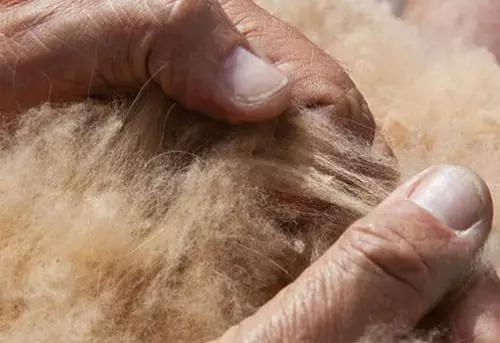 盘点奢侈品最便宜的单品,各奢侈品品牌最厉害的单品