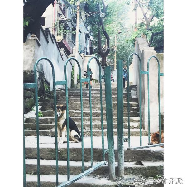 重庆有什么好玩的？是一个好玩又很累的城市