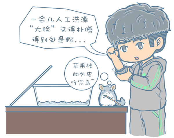 龙猫不洗澡光泡沙子,龙猫不滚沙怎么办