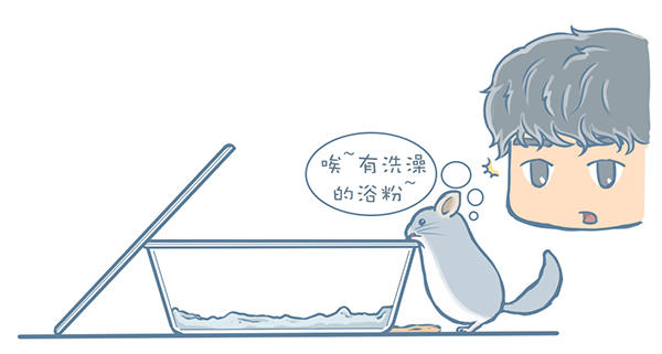 龙猫不洗澡光泡沙子,龙猫不滚沙怎么办