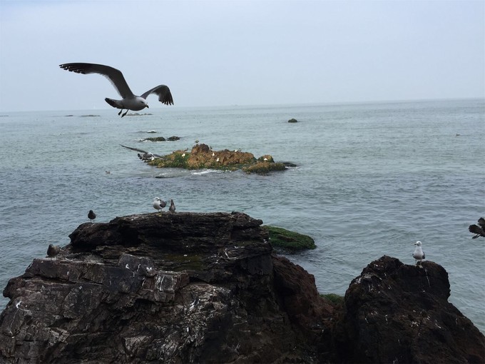 那年夏天那片海图片,那年夏天那片海