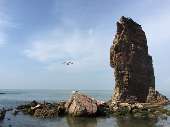 那年夏天那片海图片,那年夏天那片海