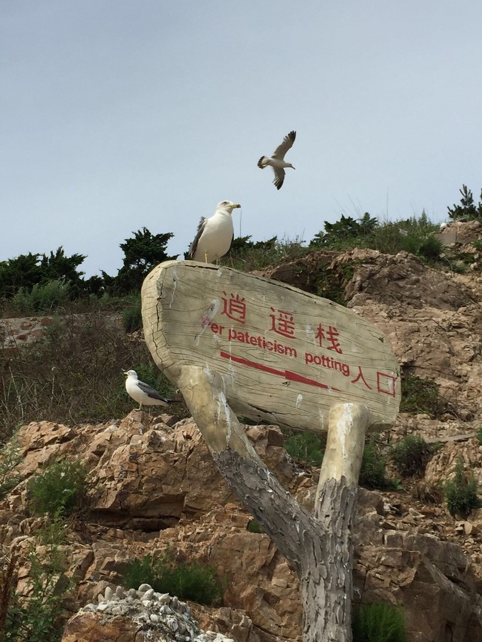 那年夏天那片海图片,那年夏天那片海