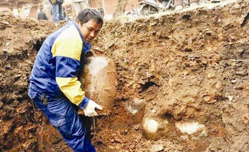 没想到这种东西也能退烧,太出乎意料了!