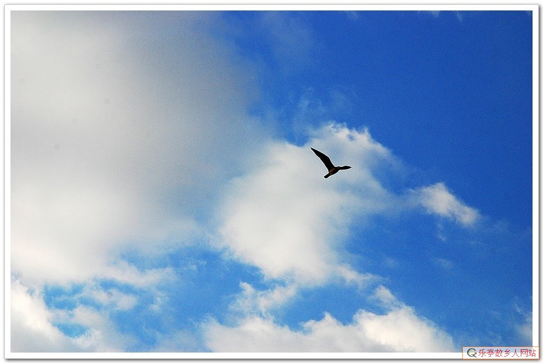 5年前的今天:初冬,如梦如幻的浅水湾(原乐亭辖区)