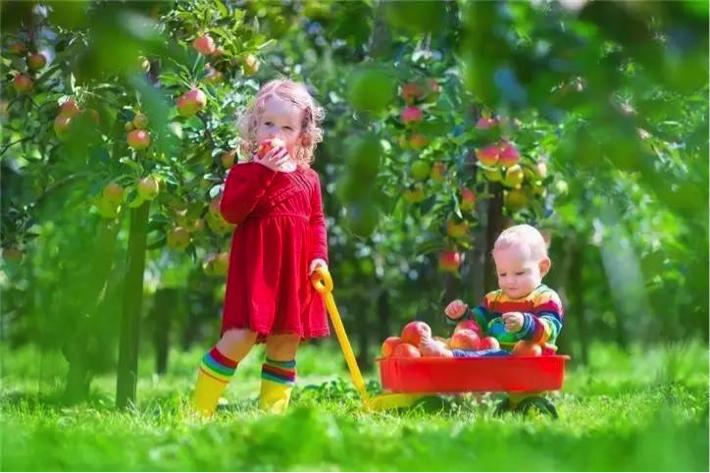 测试怀孕不明显,测试二胎宝宝生不生