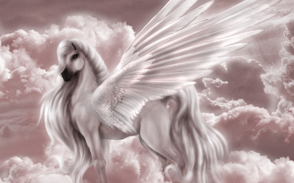 热爱自由的生肖马怎么活,属马的性格放荡不羁