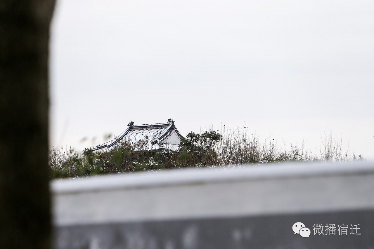 雪中宿迁,素颜都美到窒息!