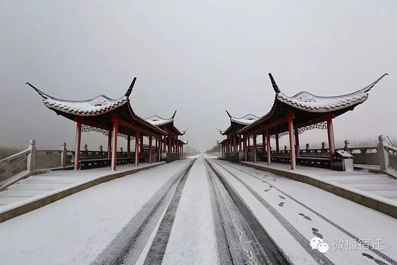 雪中宿迁,素颜都美到窒息!