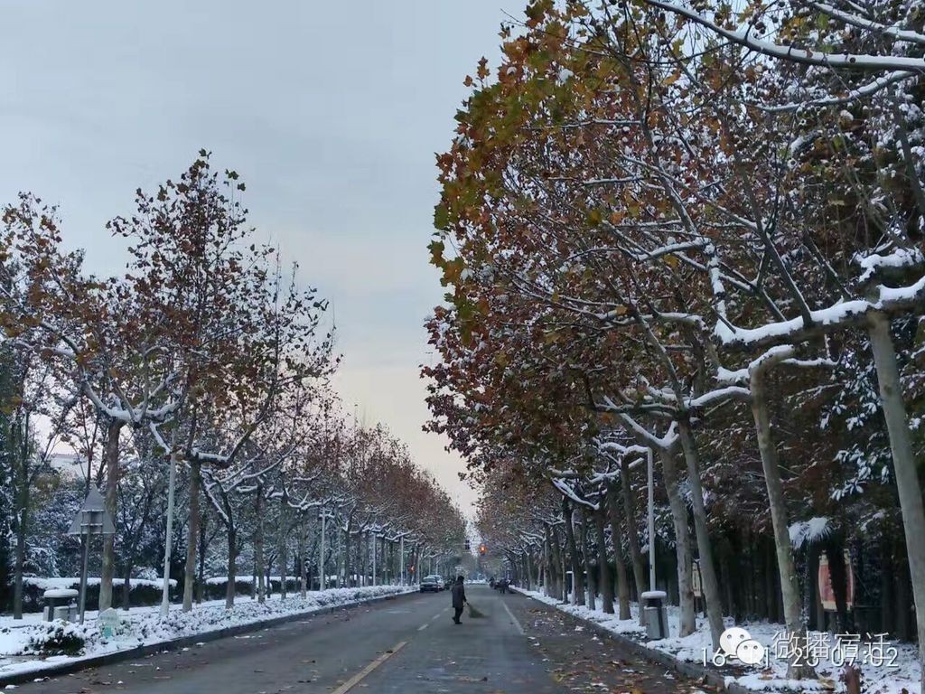 雪中宿迁,素颜都美到窒息!