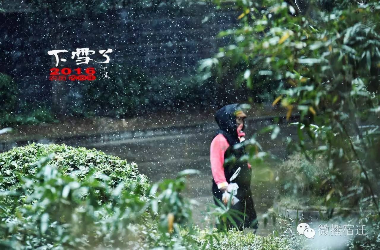 雪中宿迁,素颜都美到窒息!