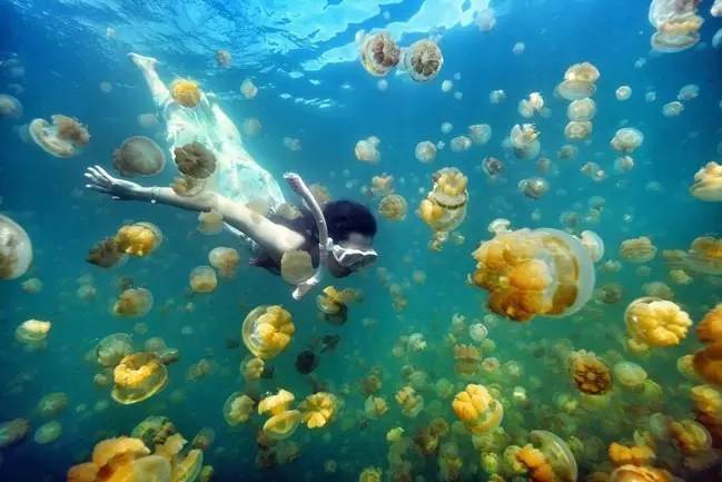 帕劳上帝水族馆介绍,帕劳上帝水族馆攻略