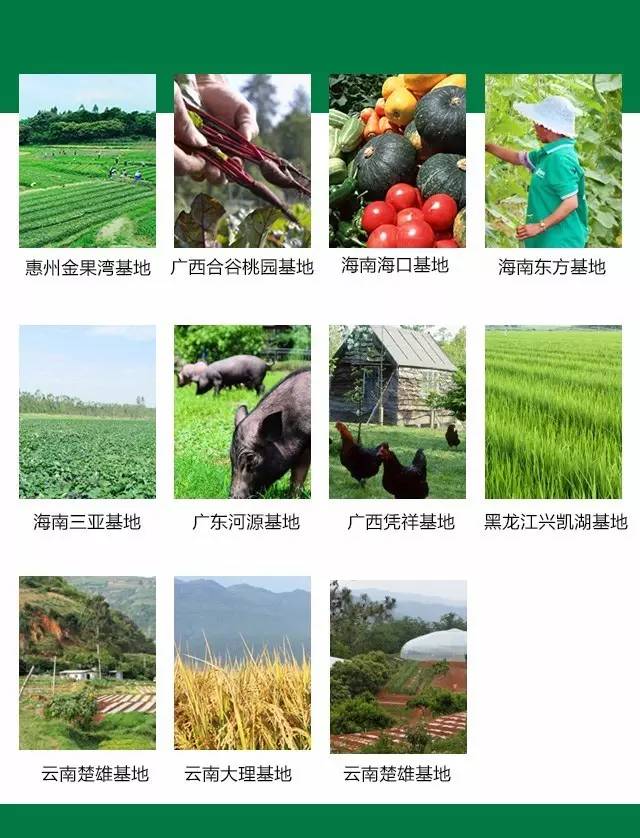 良田风采：联姻！中粮我买网看中良食网啥？