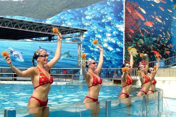 深圳小梅沙海洋世界游乐,深圳小梅沙海洋世界一日游