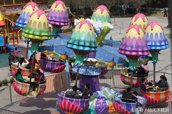 深圳小梅沙海洋世界游乐,深圳小梅沙海洋世界一日游