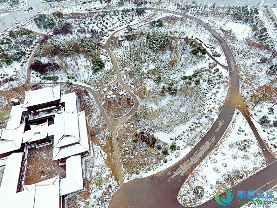 这还是我们认识的丰县吗？真是太美了……