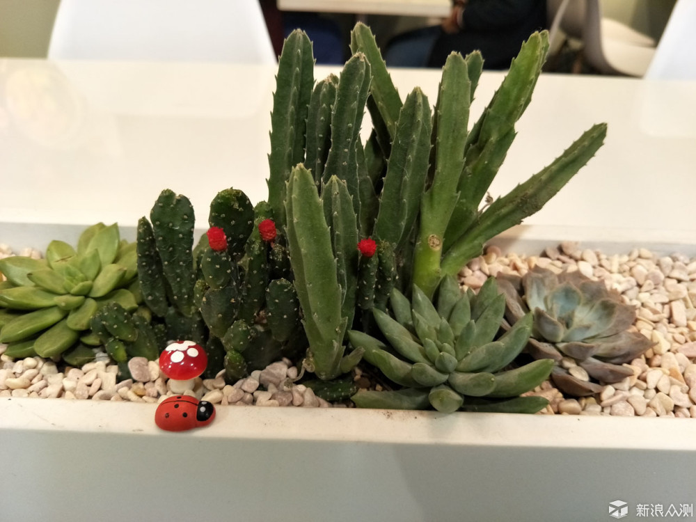 oppor9s值得入手吗,oppor9splus