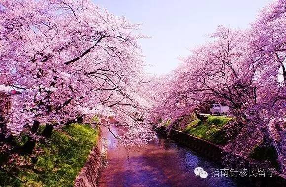 鍚勫浗鐣欏鐢熶紭鍔垮拰鍔e娍,鍚勫浗鐣欏鐢熺浉浜蹭笌鐩哥埍