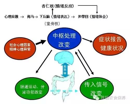 消化不良会有嗳气和饱腹感吗,消化不良饭后2小时就有饥饿感