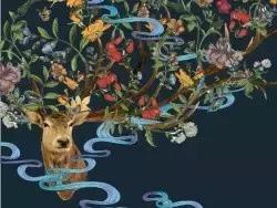 四川纳西族结婚习俗,丽江纳西族结婚打跳大全