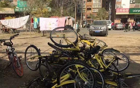 免费单车共享,单车和汽车共享