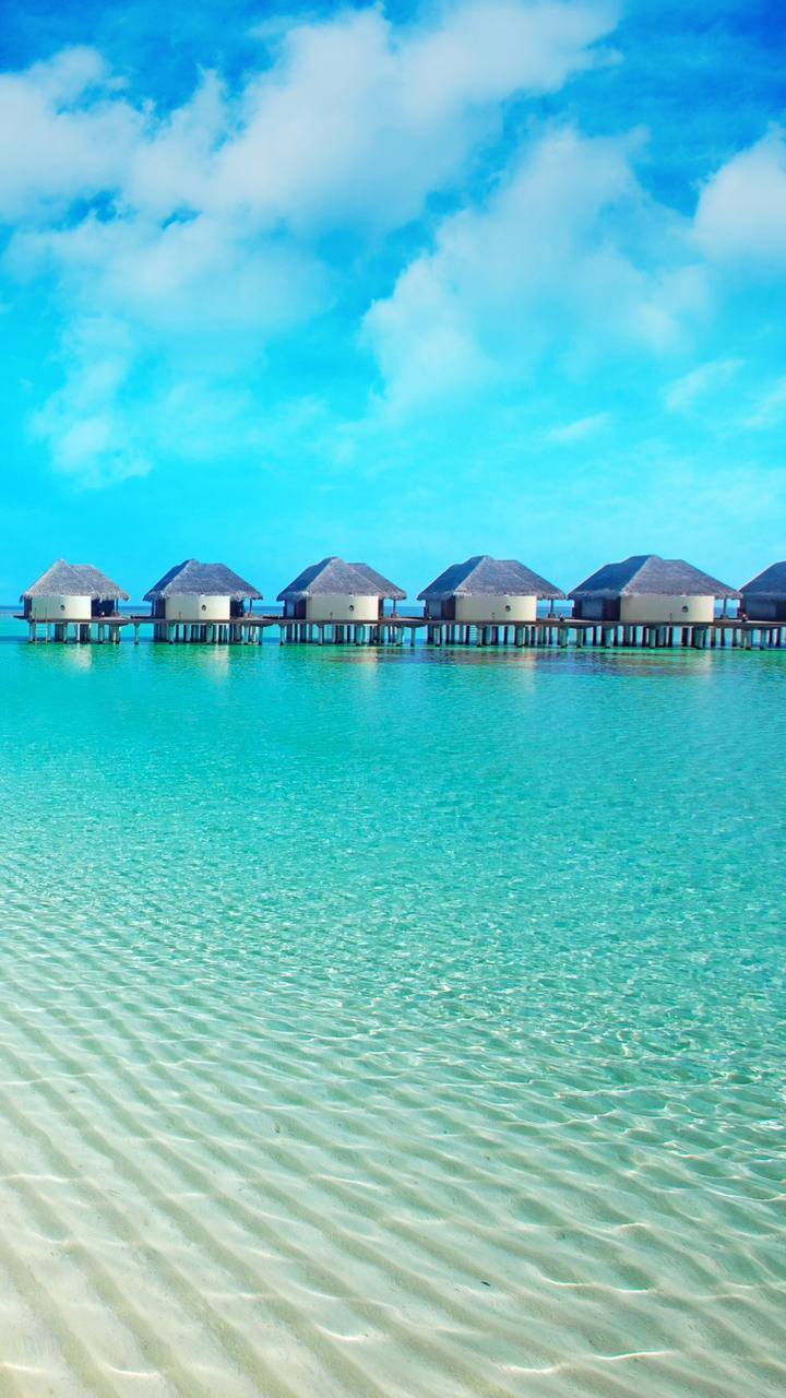 閰锋瘮halo澶栬,閰锋瘮halo鍥剧墖