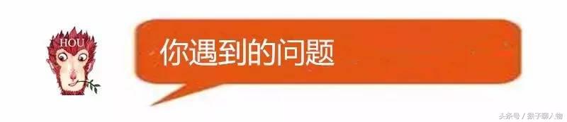 个人推广产品的免费渠道,没有钱怎么推广产品