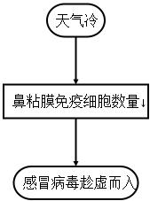 养宠物的正确方法和注意事项,养宠物的最佳方法和注意事项