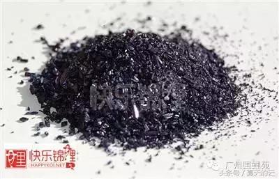 那些你不知道的副业,那些你不知道的观赏鱼