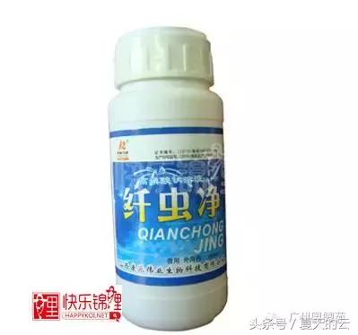 那些你不知道的副业,那些你不知道的观赏鱼