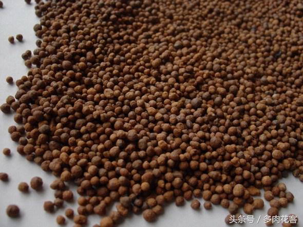 粗河沙可以当多肉的铺面石吗,多肉铺面石用小石子可以吗